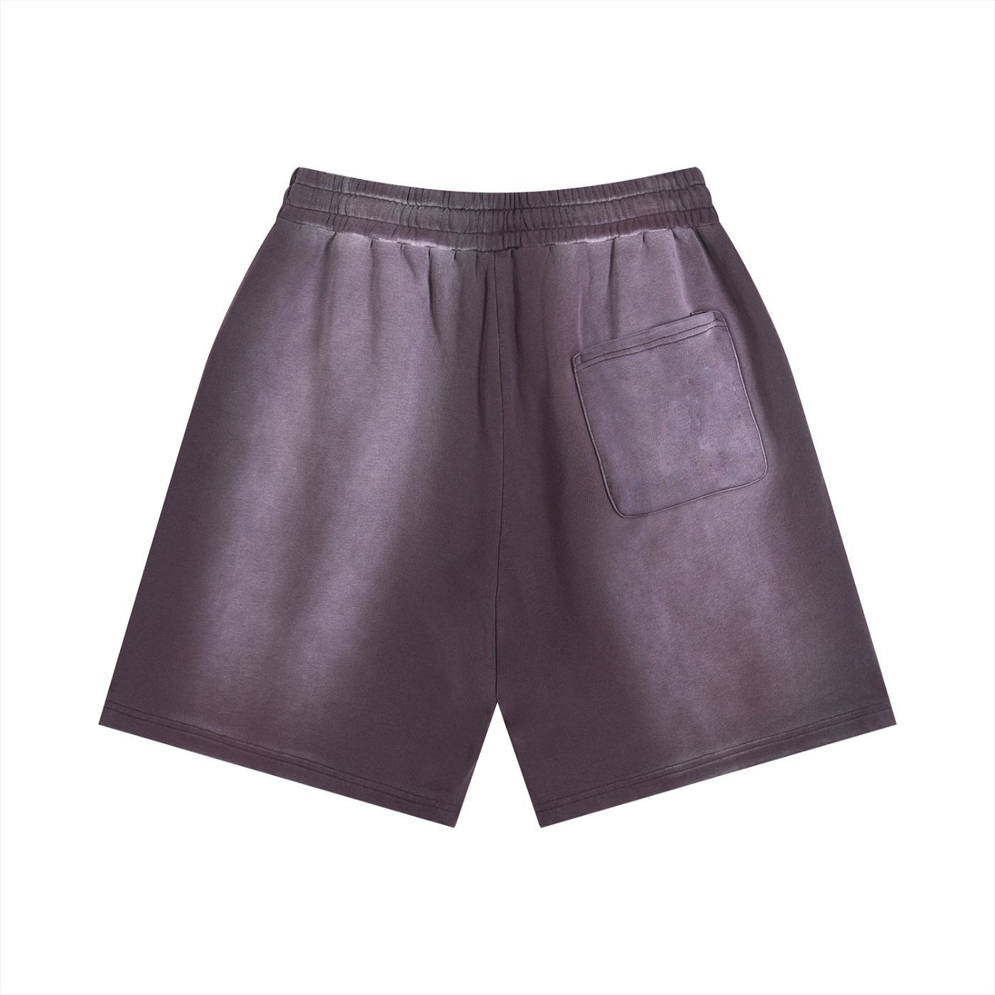 Sunfade Distressed Shorts