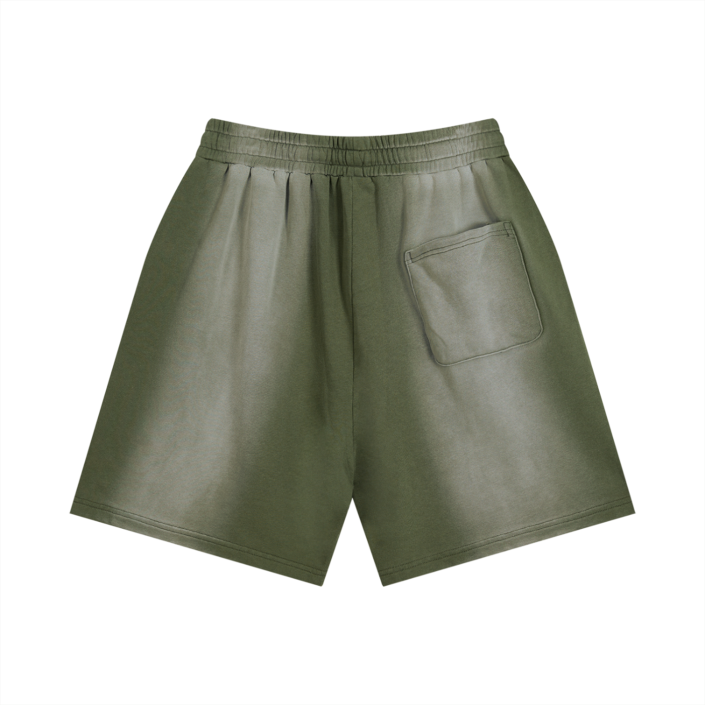Sunfade Distressed Shorts