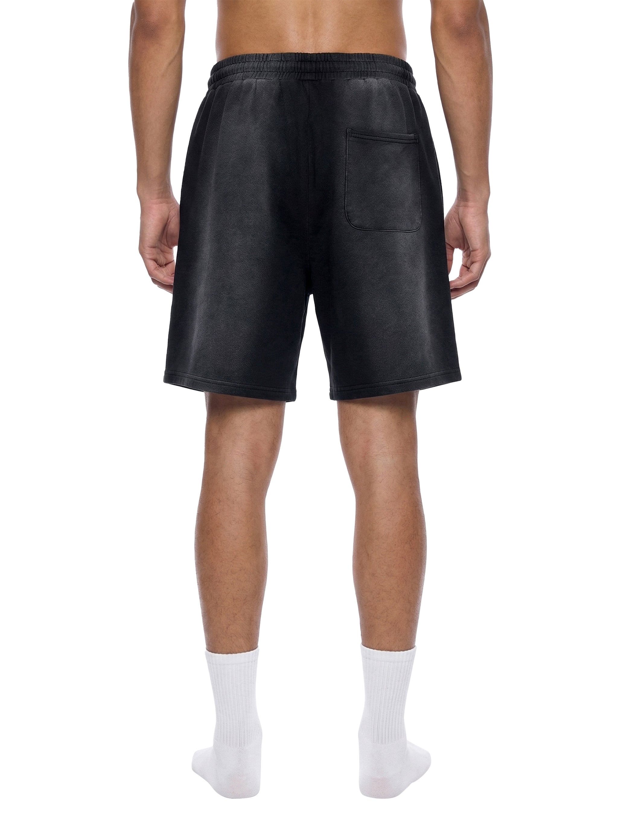 Sunfade Distressed Shorts